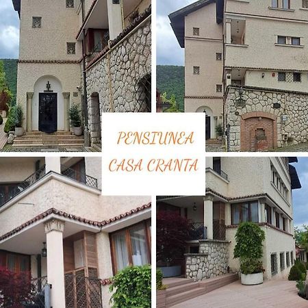 Pensiunea Casa Cranta Brasov Exterior photo